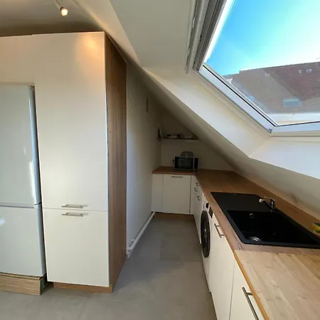 Apartment Hypercentre - Petite Venise - Renove 2 Colmar